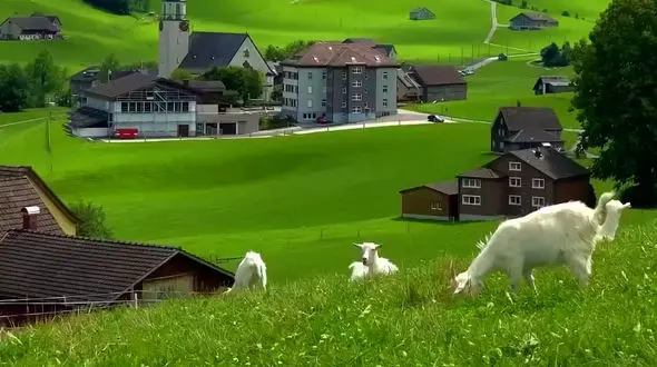 از زیبایی سوئیس و فلوریدا تا صف طولانی در قله اورست