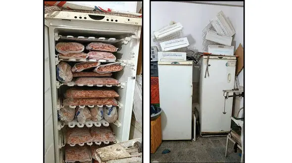 میلیاردر شدن مرد 38 ساله با فروش گوشت های آلوده در مشهد + عکس 
