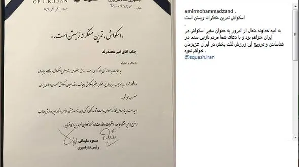  بازیگر معروف سفیر شد!