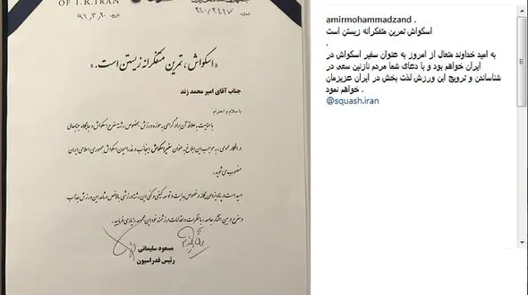  بازیگر معروف سفیر شد!