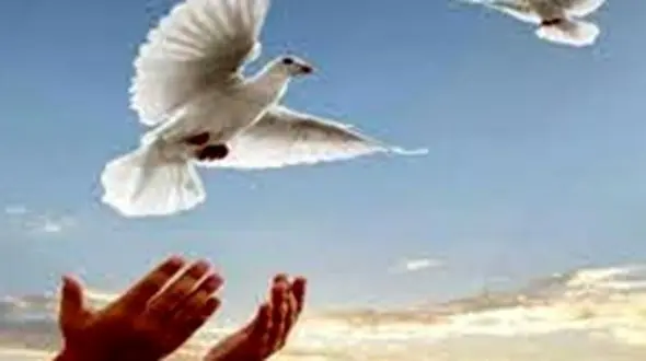 
آزادی ۹ زندانی معسر به مناسبت روز ارادت به امام جواد(ع) در ۹۹/۹/۹