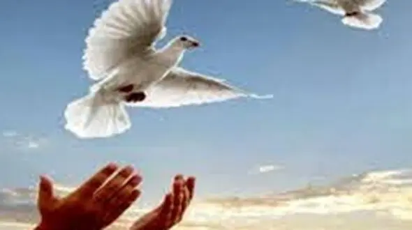 
آزادی ۹ زندانی معسر به مناسبت روز ارادت به امام جواد(ع) در ۹۹/۹/۹