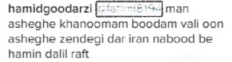 حمید گودرزی