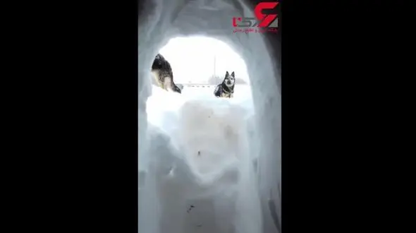 بارش عجیب برف در روسیه + فیلم