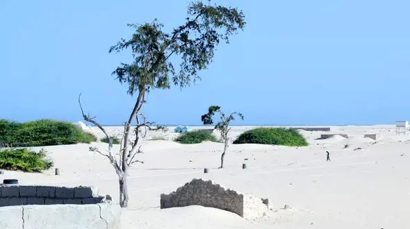 ببینید / طوفان شن شهر ساحلی را بلعید +فیلم