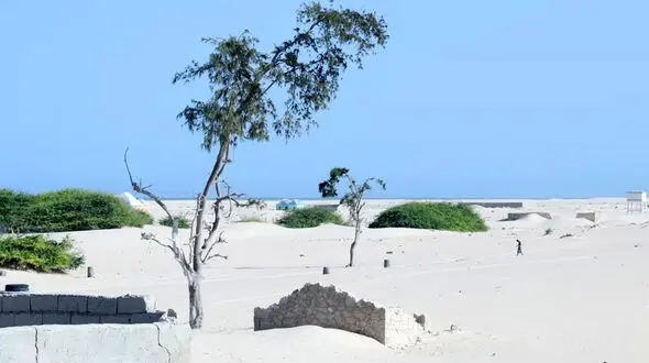 ببینید / طوفان شن شهر ساحلی را بلعید +فیلم