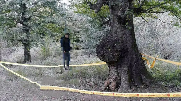 راز جسد پسر جوان در جنگل شیاده بابل + عکس مجل جسد