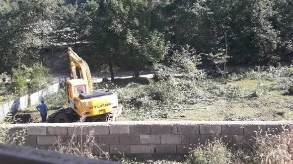 تصرف با بلدوز به جان طبیعت در چالوس / جنگل خواری در روز روشن + فیلم