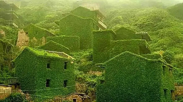 نبرد زیبای طبیعت با انسان + عکس