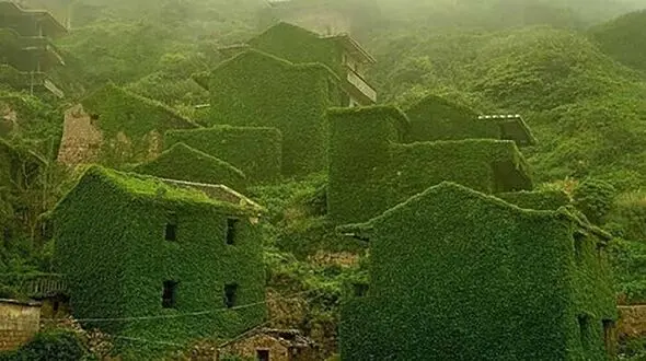 نبرد زیبای طبیعت با انسان + عکس