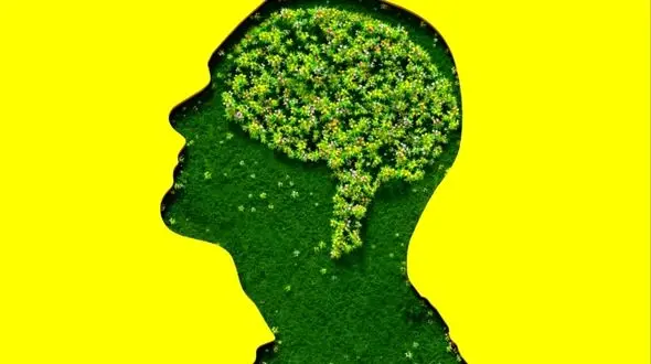 کشف عنصر گمشده: چرا مغز انسان متفاوت است؟