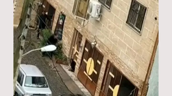 بازداشت مرد سگ کش در ماسال ! / رفتار بی رحمانه با میله آهنی 