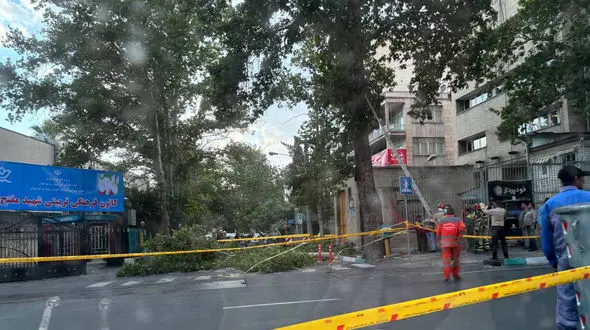 فیلم شکستن درخت در طوفان تهران / در خیابان شریعتی رخ داد