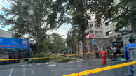 فیلم شکستن درخت در طوفان تهران / در خیابان شریعتی رخ داد