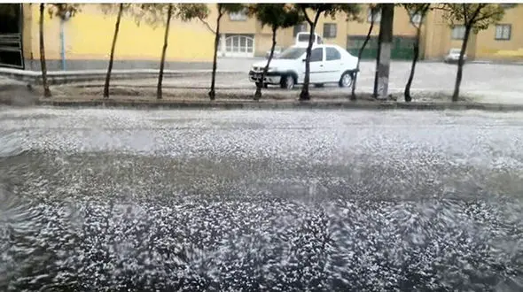  طوفان و تگرگ کم‌سابقه در دشتی/ قطعی 4 ساعته برق+فیلم