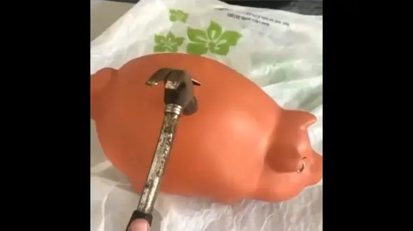 این خوک معدن پول است + فیلم 