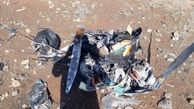 خلبان و یک زن چرا کشته شدند! / زنده بودن آنها بعد از سقوط هواپیما در گرمسار!+ فیلم