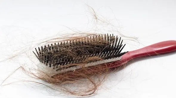 ارتباط باکتری ها با ریزش مو و خرابی ناخن ها