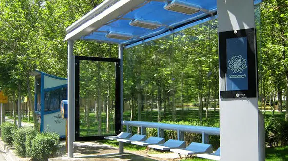 گربه منتظر اتوبوس را ببینید / عکس