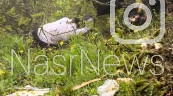 اولین تصاویر از لحظه پیدا شدن بالگرد رئیس جمهور توسط پهپاد ایرانی