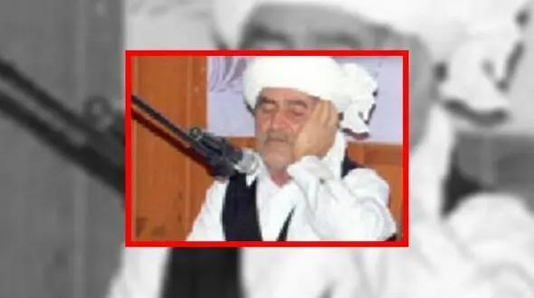 استاد پروانه درگذشت +عکس