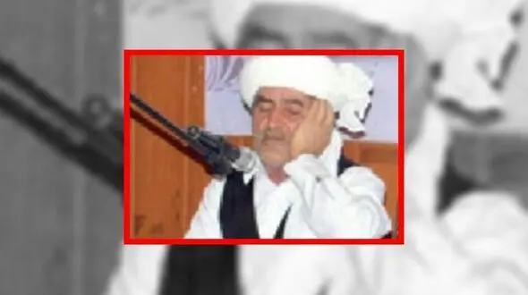 استاد پروانه درگذشت +عکس