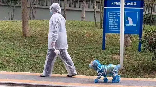 45 عکس عجیب فرار از کرونایی شدن  / ماسک ها و پوشش های خاص