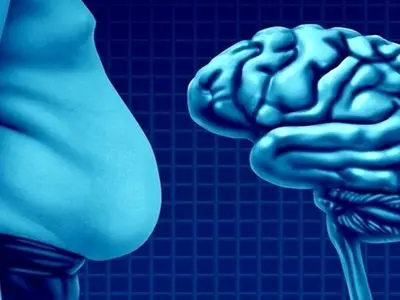 حقایقی درباره ارتباط چربی با کاهش حجم مغز