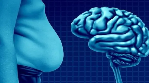 حقایقی درباره ارتباط چربی با کاهش حجم مغز