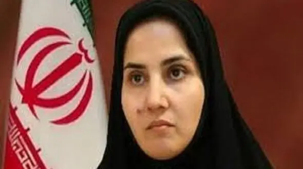 رئیس‌جمهور می‎‌تواند در برخی موضوعات پیشنهاد همه‎ پرسی بدهد