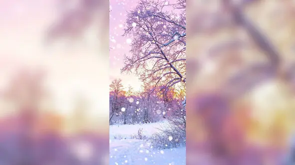 فال و طالع بینی روزانه هشتم اسفند + فیلم 