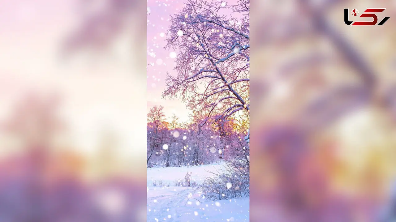 فال و طالع بینی روزانه هشتم اسفند + فیلم 