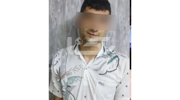فیلم لحظه بازداشت دزد حرفه ای در افسریه تهران