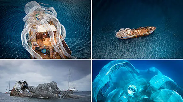 کشتی برای نجات زندگی مرجان‌ها غرق شد +عکس