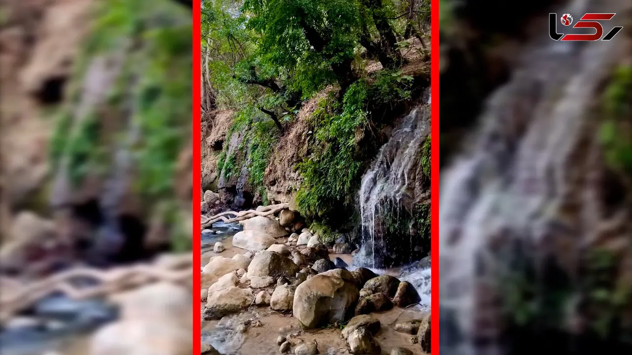 فیلم طبیعت بکر سراب بنسپر