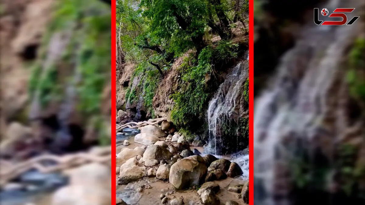 فیلم طبیعت بکر سراب بنسپر