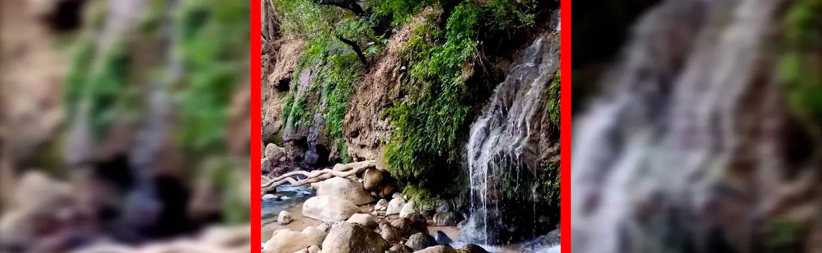 فیلم طبیعت بکر سراب بنسپر