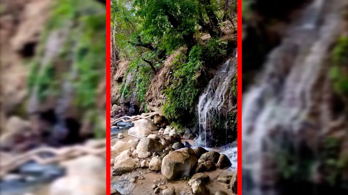 فیلم طبیعت بکر سراب بنسپر