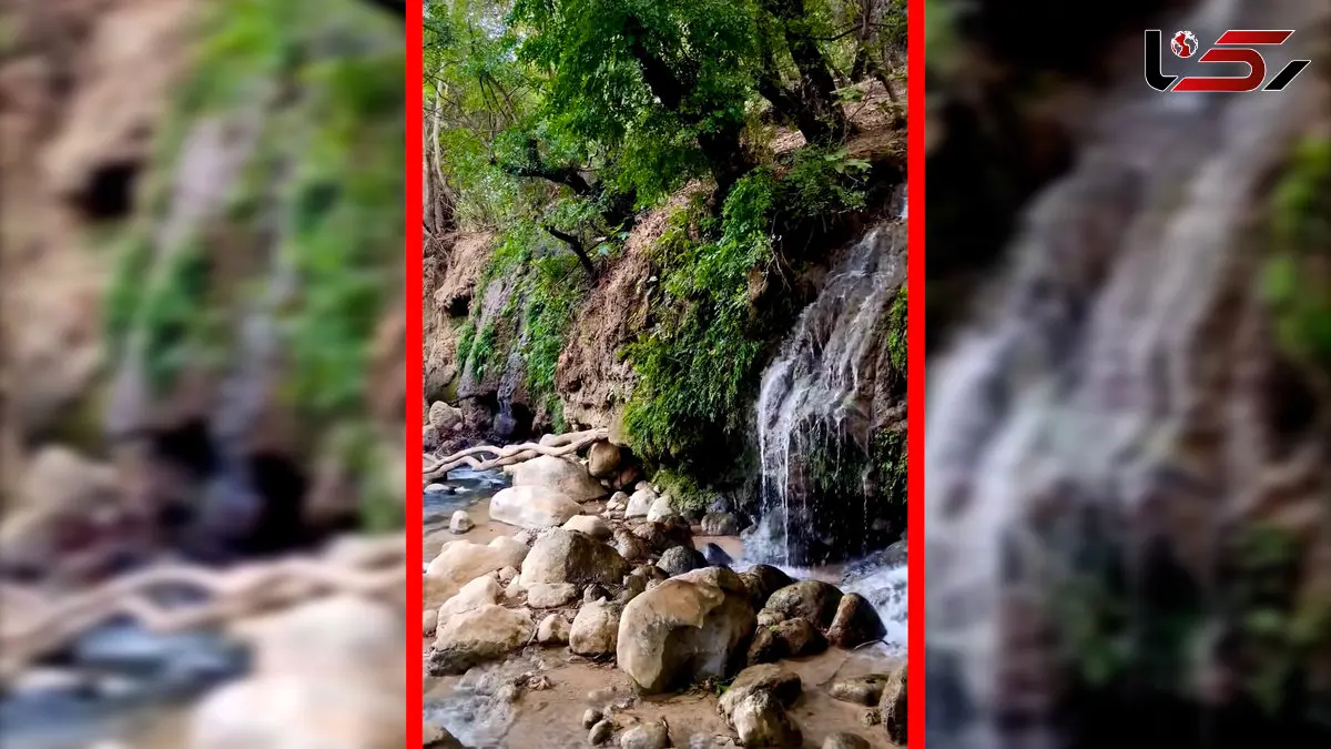 فیلم طبیعت بکر سراب بنسپر