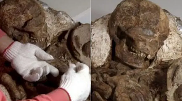 کشف فسیل 4800 ساله یک بچه در آغوش مادر + عکس