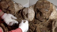 کشف فسیل 4800 ساله یک بچه در آغوش مادر + عکس