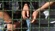 دستگیری 12 نفر از اعضای شرکت هرمی غیرمجاز