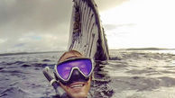 عکس باورنکردنی سلفی  با نهنگ گوژپشت + تصاویر