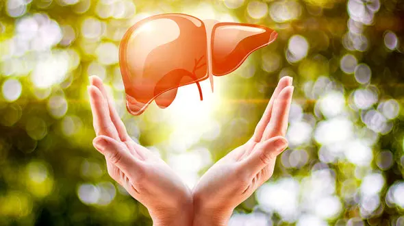 برای کبد چه بخوریم و چه نخوریم؟