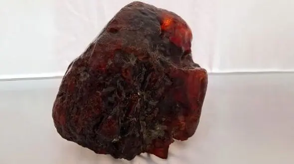 از بستر رودخانه تا گنجینه ملی: کشف کهربای میلیون دلاری