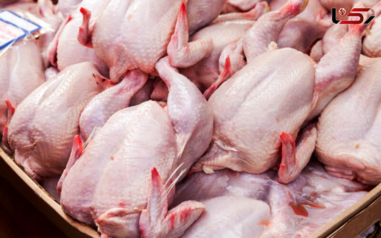 ۱۴۰ تن گوشت مرغ روزانه درگلستان توزیع می شود 