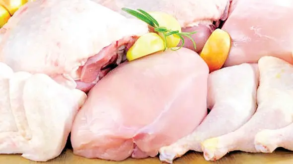 پیش‌بینی کاهش قیمت مرغ با افزایش جوجه‌ریزی