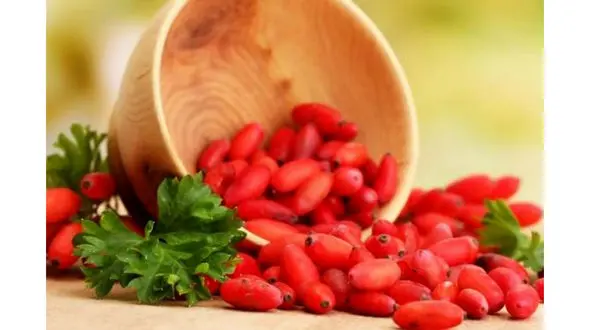 زرشک در درمان سرماخوردگی مفید است