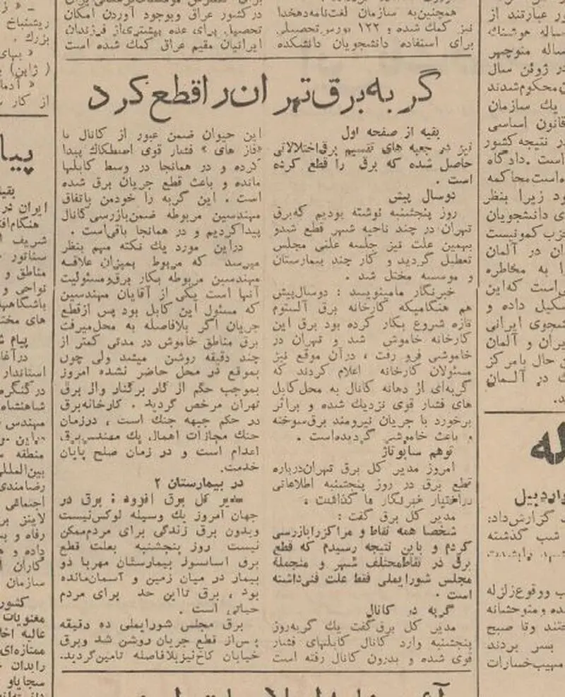 یک گربه، برق تهران را قطع کرد