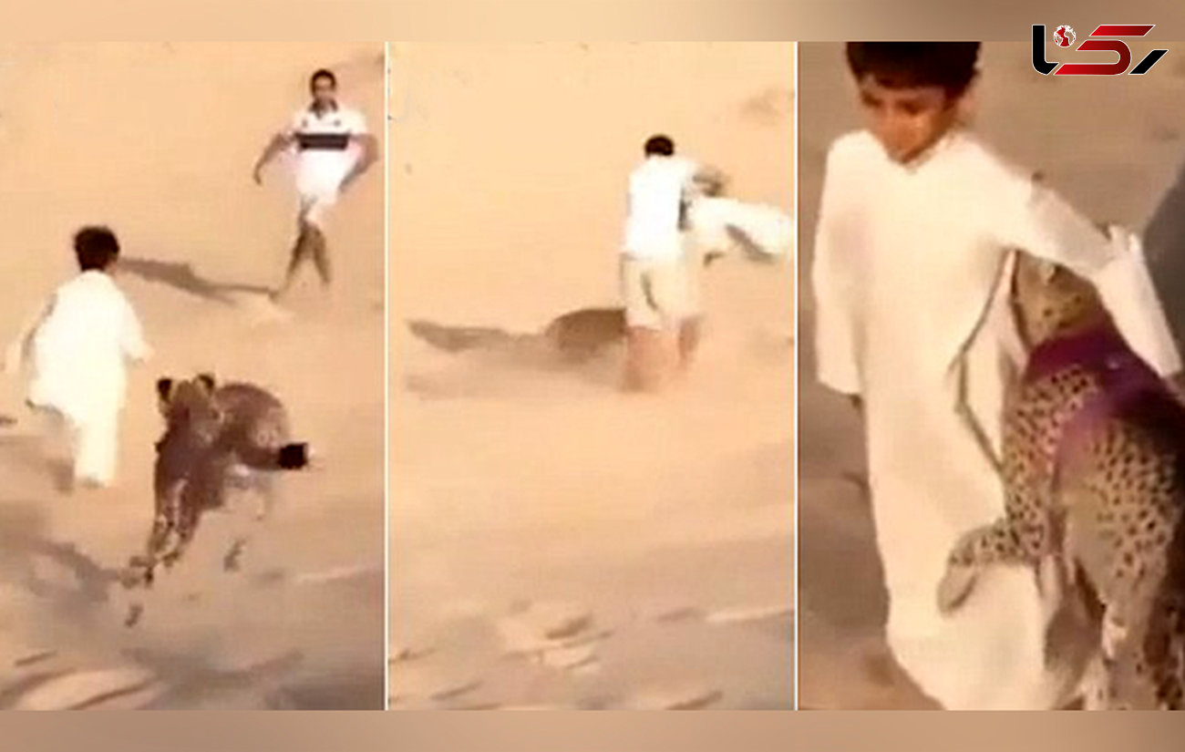 بازی چیتای وحشی با کودکی در صحرا + فیلم و عکس